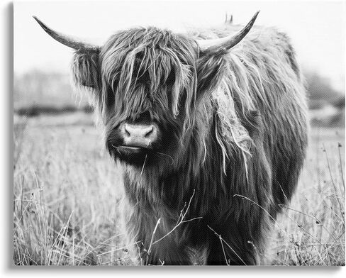 Stupell Industries Monochrome Farmland Longhorn Cattle Cow Photography, Design by Amy Brinkman in Kuwait