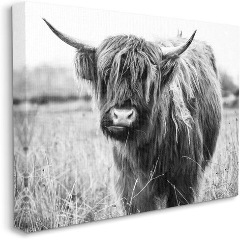 Stupell Industries Monochrome Farmland Longhorn Cattle Cow Photography, Design by Amy Brinkman in Kuwait