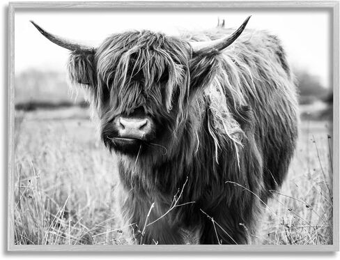 Stupell Industries Monochrome Farmland Longhorn Cattle Cow Photography, Design by Amy Brinkman in Kuwait