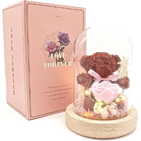 هدايا للنساء، وردة زهرية حقيقية تدوم طويلا في صندوق زجاجي، مصباح زهرة انفينيتي الخالدة هدية مرحة شخصية للصديقة والام والزوجة لعيد الميلاد والزفاف والذكرى السنوية وعيد الحب وعيد الام السعيد in Kuwait