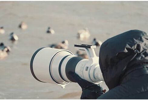 Canon RF 800mm f/5.6 L is USM Lens Ideal for Sports, Wildlife, and Journalism (5055C002) + Canon Extender RF 1.4X (4113C002) + 64GB Memory Card + Backpack + Card Reader + Flex Tripod + More (Renewed) in Saudi Arabia