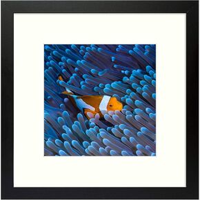 إطار صورة Frametory مقاس 12x16، صور عرض 11x14 مع حصيرة أو 12x16 بدون حصيرة، لإطار جدار اللوحة الماسية المطبوع على الملصقات - قالب عريض (12x16، أبيض)