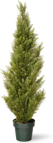 National Tree Company Artificial Shrub | Includes Pot Base | Arborvitae - 36 Inch in Saudi Arabia
