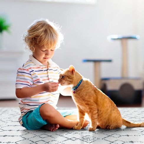 سجاد عداء anidaroel للممر 2x6، سجاد مغربي قابل للغسل غير قابل للانزلاق عداء سجادة المطبخ مع دعم مطاطي، سجادة ناعمة منخفضة الوبر لغرفة النوم، سجادة داخلية لغرفة الغسيل في المدخل in Kuwait