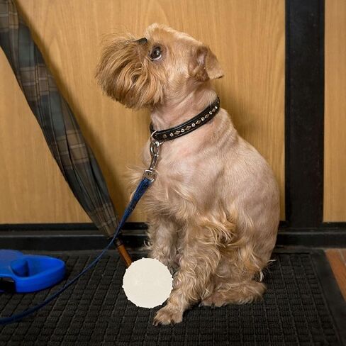 Ipetboom 2Pieces Dog Glow Ball Toys,2 Inch Diameter Squeaky Dog Toy Balls Puppy Chew Toys for Teething, Dog Biting Ball Toy Dog Interactive Fetch Toys in Kuwait