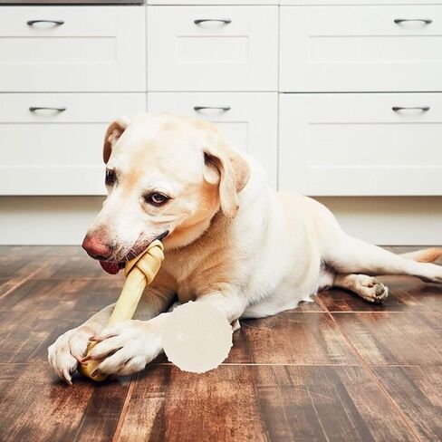 Ipetboom 2Pieces Dog Glow Ball Toys,2 Inch Diameter Squeaky Dog Toy Balls Puppy Chew Toys for Teething, Dog Biting Ball Toy Dog Interactive Fetch Toys in Kuwait