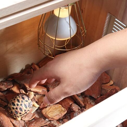 balacoo Ceramic Heat Emitter Bulb Guard Anti Scalding Reptile Heat Lamp Cover Reptile Heat Lamp Mesh Cover in Saudi Arabia
