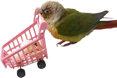 Bird Puzzle Training Toys Set，Parrots Tabletop Interactive Toys Pack，Parakeets Hobby Building Toys for Throwing Chewing Learning, Mini Pink Plastic Shopping Cart Toy with Balls for Cockatiel Conure in Kuwait
