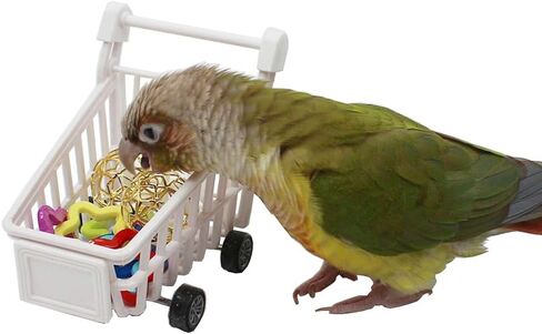 Bird Puzzle Training Toys Set，Parrots Tabletop Interactive Toys Pack，Parakeets Hobby Building Toys for Throwing Chewing Learning, Mini Pink Plastic Shopping Cart Toy with Balls for Cockatiel Conure in Kuwait
