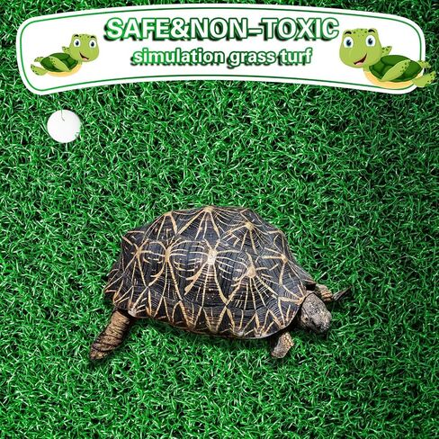 Syhood 2 Pcs Lawn Turtle Basking Platform Tortoise Ramp Simulation Grass Reptile Ramp Tortoise Climbing Ladder Floating Resting Terrace for Fish Tank Frog Terrapin Aquarium Accessories Decor, 2 Sizes in Saudi Arabia