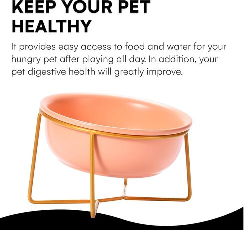 Black Rhino Elevated Food and Water Bowl Set - Dog and Cat Pink Bowl with Gold Iron Tilted Frame - 5.8'' Dual Ceramic Bowl, Ideal and Comfortable Feeding Position for Dogs and Cats in Kuwait