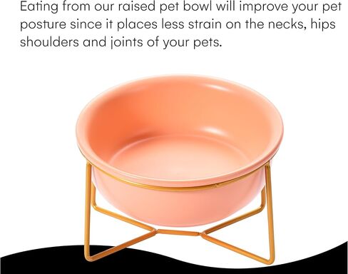 Black Rhino Elevated Food and Water Bowl Set - Dog and Cat Pink Bowl with Gold Iron Tilted Frame - 5.8'' Dual Ceramic Bowl, Ideal and Comfortable Feeding Position for Dogs and Cats in Kuwait