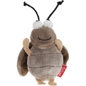 GIGWI Melody Chaser, Cricket in Kuwait