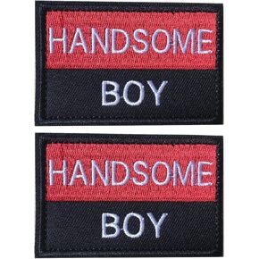GYGYL 10Pcs Service Dog Patches, Ask to Pet Do Not Pet Patch, Tactical Pet in Training, Embroidered Fastener Hook and Loop Patch for Dog Vest Harnesses Collars