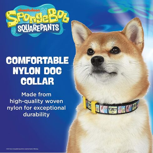 SpongeBob SquarePants for Pets Characters Best Friends Dog Collar, Size Medium (M) | Cute Yellow Medium Dog Collar for Medium Dogs from Nickelodeon Spongebob, Dog Apparel & Accessories in Saudi Arabia