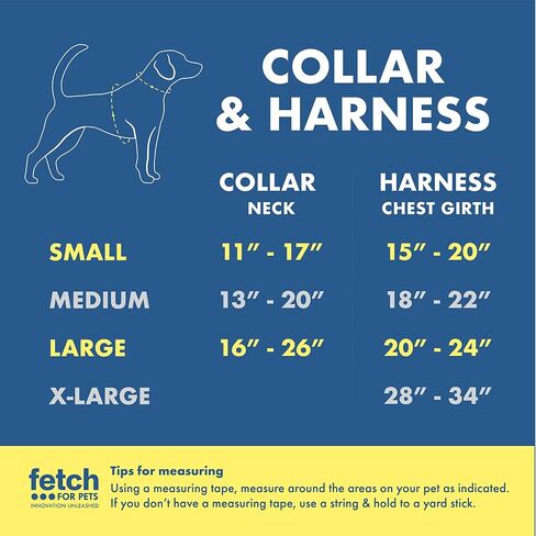 SpongeBob SquarePants for Pets Characters Best Friends Dog Collar, Size Medium (M) | Cute Yellow Medium Dog Collar for Medium Dogs from Nickelodeon Spongebob, Dog Apparel & Accessories in Saudi Arabia