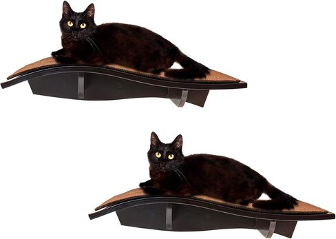 Arf Pets Cat Perch, Wall-Mounted Wooden Shelf for Your Pet, Attractive Curved Wood Ledge Encourages Natural Activity & Fun Exercise for Your Kitty,Sturdy Feline Furniture, Holds Up to 44 Lbs. 2 Pack in Kuwait