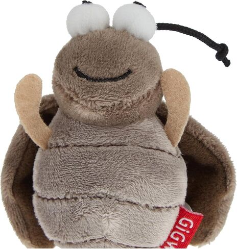 GIGWI Melody Chaser, Cricket in Kuwait