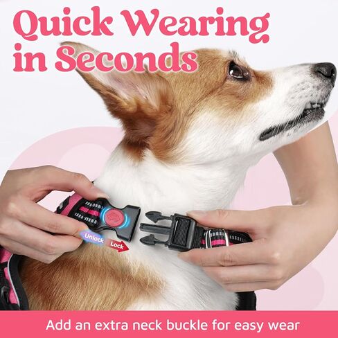 rabbitgoo Dog Harness for Large, No Pull 3 Buckles Easy On & Off in Kuwait