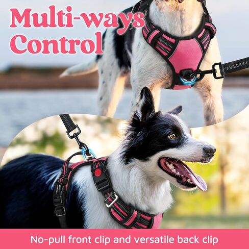 rabbitgoo Dog Harness for Large, No Pull 3 Buckles Easy On & Off in Kuwait