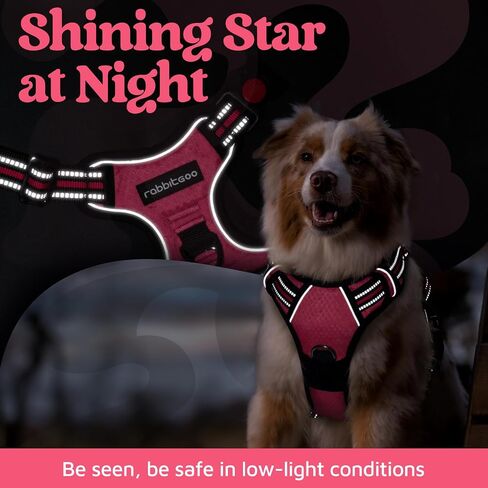 rabbitgoo Dog Harness for Large, No Pull 3 Buckles Easy On & Off in Kuwait