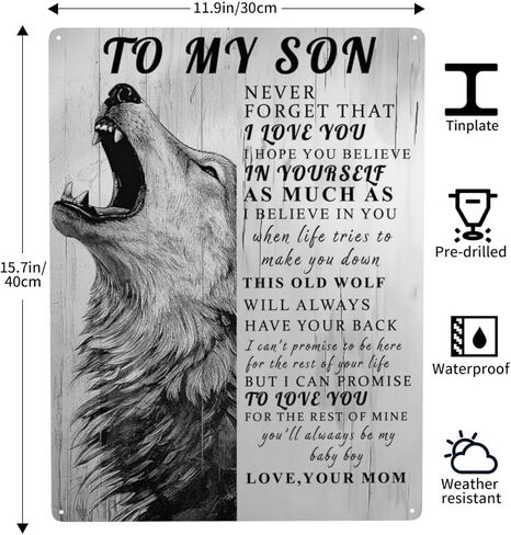Phonily Lion Metal Tin Sign to My Son Present Sign From Mom Inspiring Word Tin Sign Wall Art Love You Metal Sign Wall Decoration for Bedroom Living Room Decor 8Wx12L Inches in Kuwait