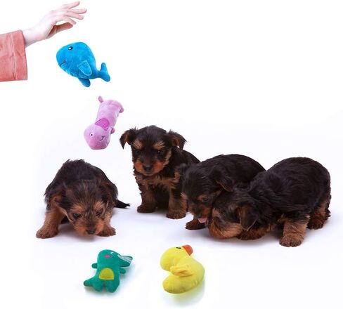AWOOF Puppy Toys, 10 Pack Cute Puppy Plush Chew Squeaky Dog Toys for Boredom, Puppy Teething Toys for Medium to Small Dogs in Saudi Arabia