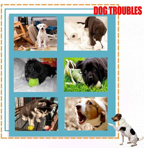 AWOOF Puppy Toys, 10 Pack Cute Puppy Plush Chew Squeaky Dog Toys for Boredom, Puppy Teething Toys for Medium to Small Dogs in Saudi Arabia