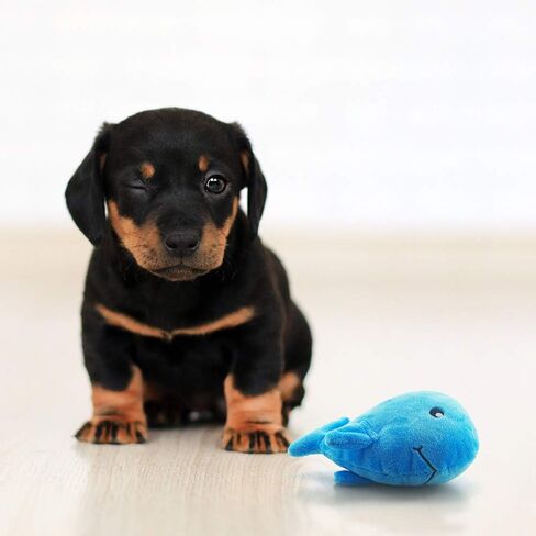AWOOF Puppy Toys, 10 Pack Cute Puppy Plush Chew Squeaky Dog Toys for Boredom, Puppy Teething Toys for Medium to Small Dogs in Saudi Arabia