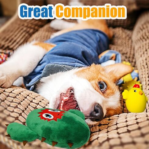 Wieppo Squeaky Dog Toys for Small Dogs and Medium Dogs, Large Dog Toys - Soft Plush Dog Squeaky Toys Cactus Small Dog Toys, Carrot Stuffed Dog Toys for Large Dogs 2PCS in Kuwait