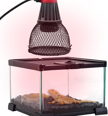 aplayfulbee الزواحف مصباح الحرارة غطاء مصباح الحرارة لاعبا اساسيا، الزواحف المضادة للحرق عاكس الضوء السيراميك باعث الحرارة الفرح سخان مصباح الملحقات الزواحف للسلاحف فراخ سحلية ثعبان in Kuwait