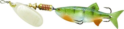 Mepp's Comet - mino, Silver-Perch (C3M S-PCH) in Saudi Arabia