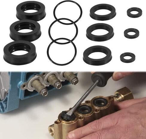 Sunluway 76975 Seal Kit CAT Seal Kit for 4DNX Pumps Fits for Replacement CAT 4DNX25GSI & 4DNX27GSI Pump in Saudi Arabia