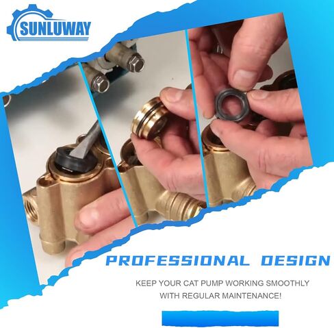 Sunluway 76975 Seal Kit CAT Seal Kit for 4DNX Pumps Fits for Replacement CAT 4DNX25GSI & 4DNX27GSI Pump in Saudi Arabia