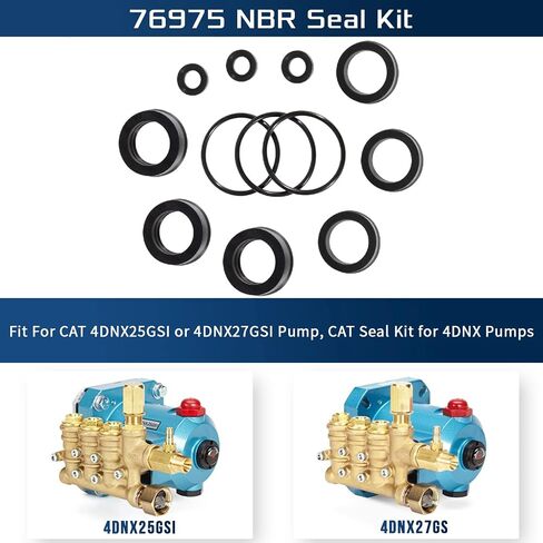 Sunluway 76975 Seal Kit CAT Seal Kit for 4DNX Pumps Fits for Replacement CAT 4DNX25GSI & 4DNX27GSI Pump in Saudi Arabia