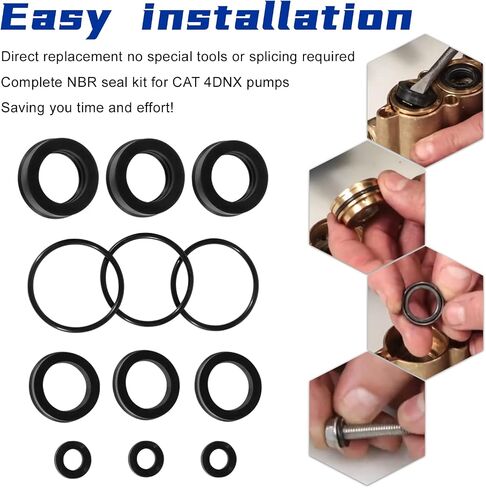 Sunluway 76975 Seal Kit CAT Seal Kit for 4DNX Pumps Fits for Replacement CAT 4DNX25GSI & 4DNX27GSI Pump in Saudi Arabia