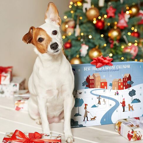 Himalayan Dog Chew 24 Joyful Days Dog Advent Calendar, 24 Tasty Dogs Treats for All Breeds, Himalayan Cheese Treats, Cookie Treats, Freeze Dried Whole Meat Treats in Kuwait