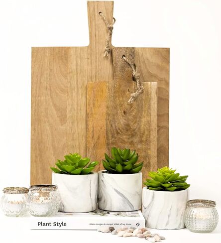 كورراجونج فارم هاوس مجموعة من 3 نباتات عصارية صناعية في اصيص | اوعية نباتات صناعية | نباتات صناعية لديكور المنزل الداخلي | نباتات عصارية صناعية | ديكور نباتات صغيرة لطيفة | نباتات صناعية داخلية in Kuwait