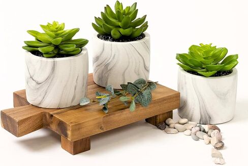 كورراجونج فارم هاوس مجموعة من 3 نباتات عصارية صناعية في اصيص | اوعية نباتات صناعية | نباتات صناعية لديكور المنزل الداخلي | نباتات عصارية صناعية | ديكور نباتات صغيرة لطيفة | نباتات صناعية داخلية in Kuwait