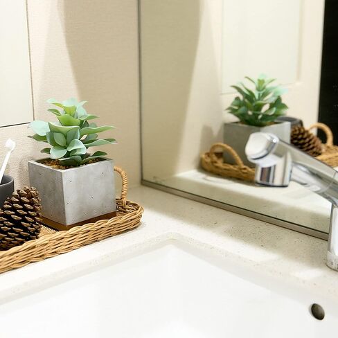 Seirai Living Co. نباتات عصارية صناعية مقاس 8 بوصات في الأواني، ديكور نباتات اصطناعية، نباتات عصارية صناعية، نباتات مكتبية وهمية، ديكور رف طاولة القهوة (أخضر حكيم) in Kuwait