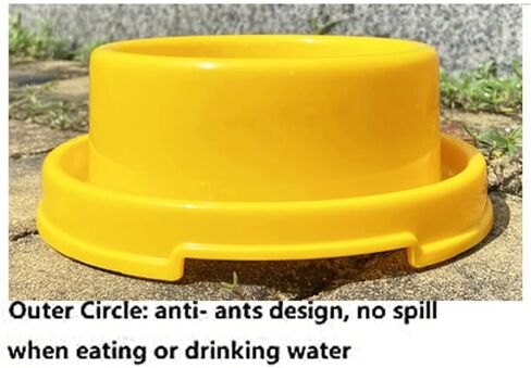 تيسون وعاء طعام مرتفع للكلاب والقطط والجراء بتصميم دائري مضاد للانسكاب وملون ومضاد للنمل، وعاء طعام للحيوانات الصغيرة in Kuwait