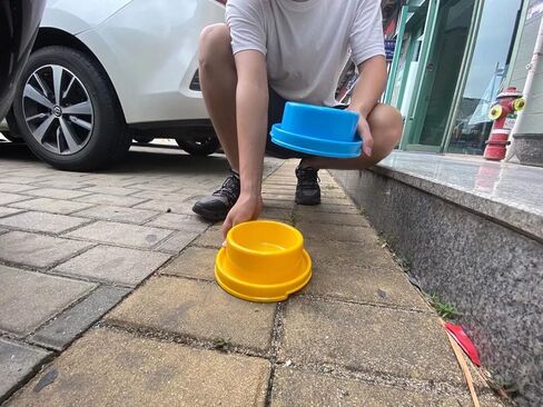 تيسون وعاء طعام مرتفع للكلاب والقطط والجراء بتصميم دائري مضاد للانسكاب وملون ومضاد للنمل، وعاء طعام للحيوانات الصغيرة in Kuwait