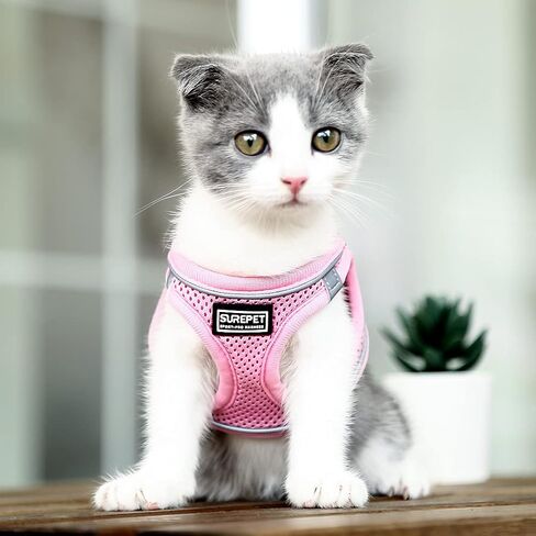 مجموعة سرج ومقود الكلاب الشبكية الناعمة من Suredoo، سهلة الارتداء، عاكسة للضوء ومريحة ومبطنة وسريعة الجفاف للكلاب والقطط الصغيرة والمتوسطة الحجم (أزرق، S) in Kuwait