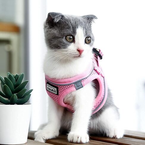 مجموعة سرج ومقود الكلاب الشبكية الناعمة من Suredoo، سهلة الارتداء، عاكسة للضوء ومريحة ومبطنة وسريعة الجفاف للكلاب والقطط الصغيرة والمتوسطة الحجم (أزرق، S) in Kuwait