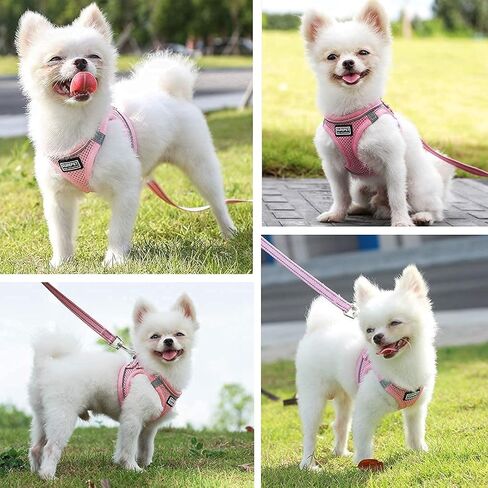 مجموعة سرج ومقود الكلاب الشبكية الناعمة من Suredoo، سهلة الارتداء، عاكسة للضوء ومريحة ومبطنة وسريعة الجفاف للكلاب والقطط الصغيرة والمتوسطة الحجم (أزرق، S) in Kuwait