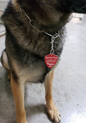 ActiveDogs 2"x2.5" Engraved Service Dog Travel ID Tag, Double-Sided Working K9 Plastic Pet Shield Tag - Red in Saudi Arabia