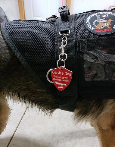 ActiveDogs 2"x2.5" Engraved Service Dog Travel ID Tag, Double-Sided Working K9 Plastic Pet Shield Tag - Red in Saudi Arabia