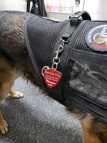 ActiveDogs 2"x2.5" Engraved Service Dog Travel ID Tag, Double-Sided Working K9 Plastic Pet Shield Tag - Red in Saudi Arabia