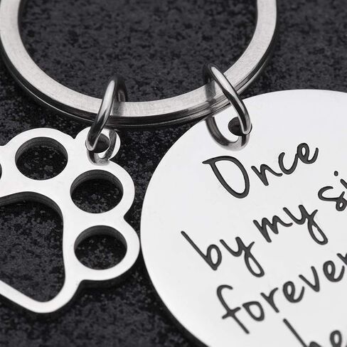 VANLOVEMAC Loss of Pet Memorial Keychain Dog Cat Remembrance Jewelry Pet Sympathy Gift Dog Remembrance for Women Men Once By My Side Forever in My Heart Key Ring in Saudi Arabia