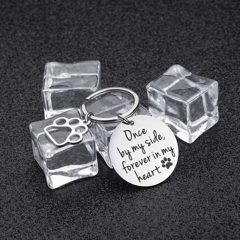 VANLOVEMAC Loss of Pet Memorial Keychain Dog Cat Remembrance Jewelry Pet Sympathy Gift Dog Remembrance for Women Men Once By My Side Forever in My Heart Key Ring in Saudi Arabia